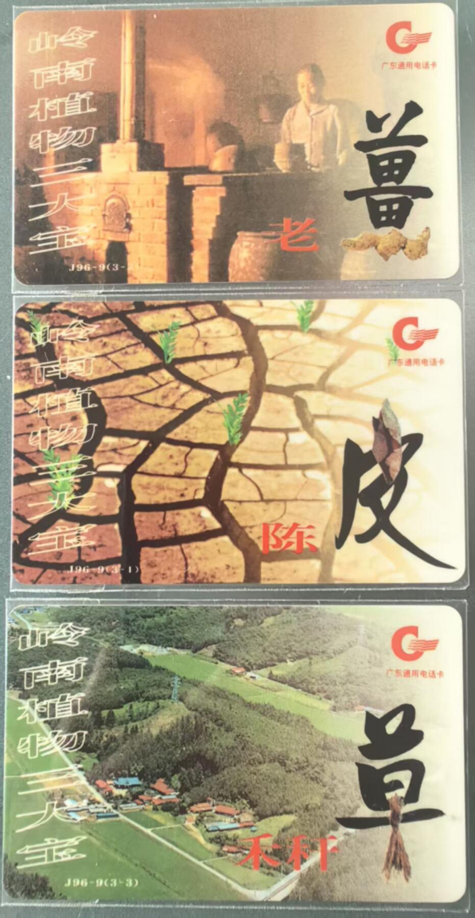 中国集卡电话磁卡专场拍卖（三十一） 广东亚斯康电话卡岭南植物三大宝3全