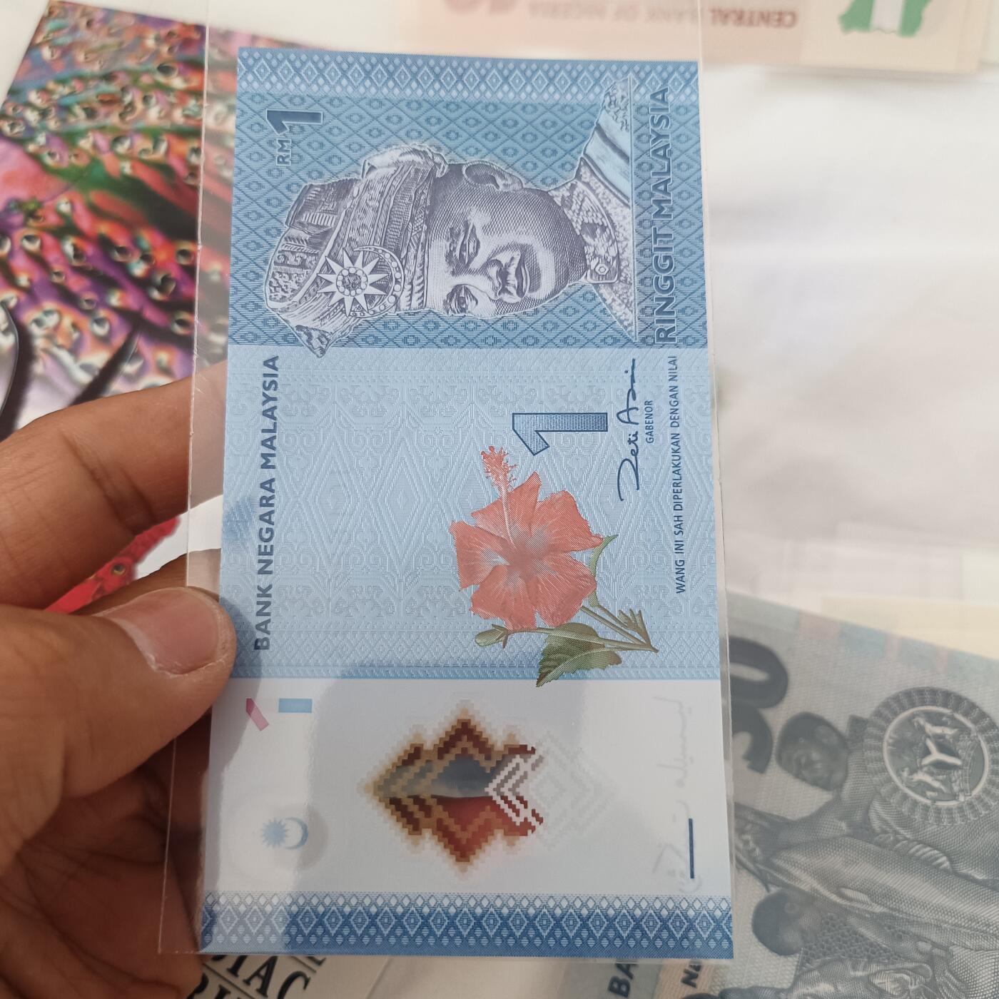 泡泡币外币第二十一场可代拍15038385335微信 马来西亚