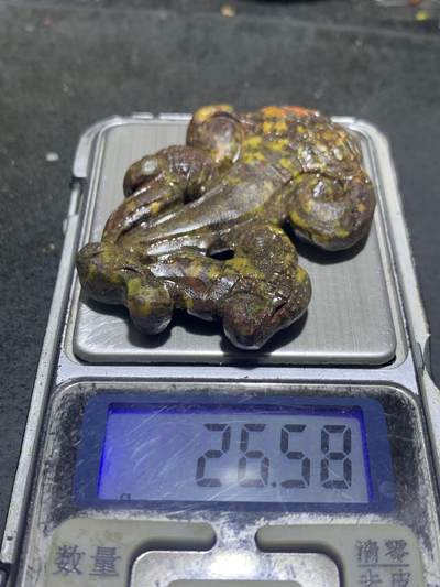 精美亚光草花纹战国红玛瑙手工俏色巧雕灵芝吊坠一个 精美亚光草花纹战国红玛瑙手工俏色巧雕灵芝吊坠一个