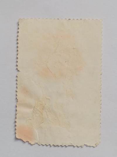 邮票专场 毛泽东：你们要关心国家大事，要把无产阶级文化大革命进行到底！