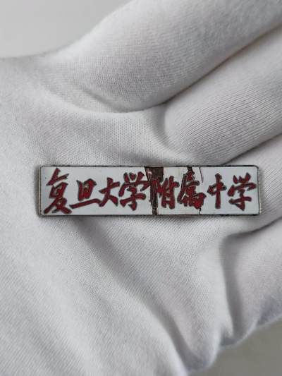 早期复旦大学附属中学 - 早期复旦大学附属中学