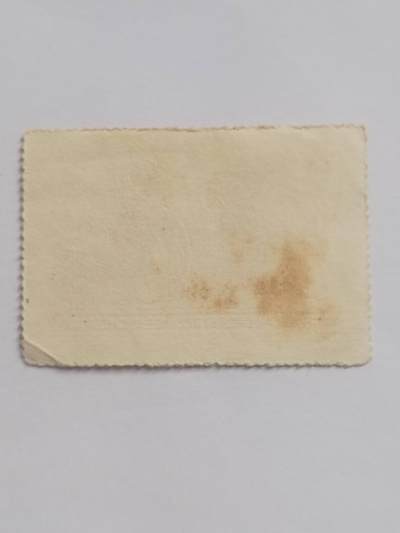 邮票专场 1954年 中国人民邮政 800元。