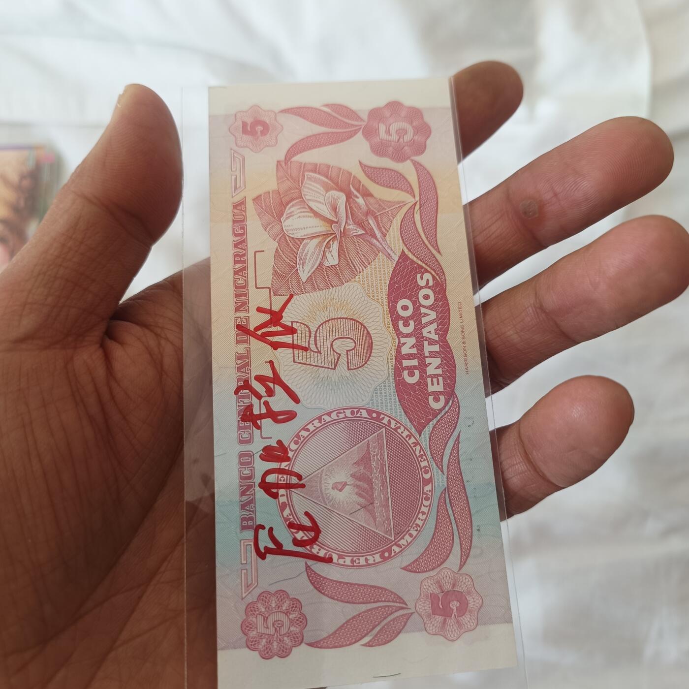 泡泡币外币第二十二场可代拍15038385335微信 尼加拉瓜