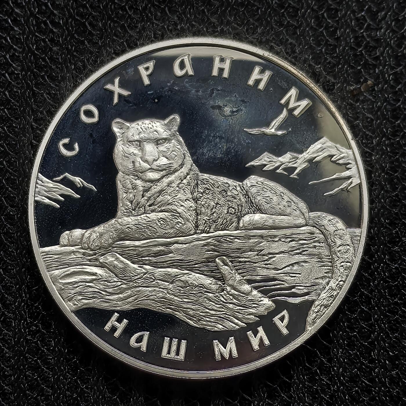 道一币馆币章第一百二十五场