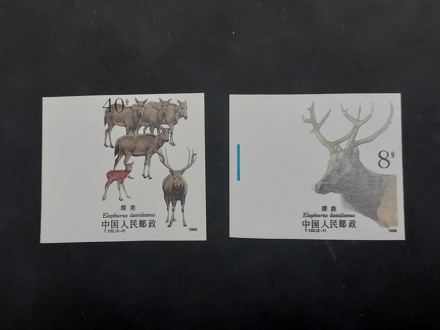 理想集藏/博彦收藏 5月3日邮票专场 无齿麋鹿 新全 全新