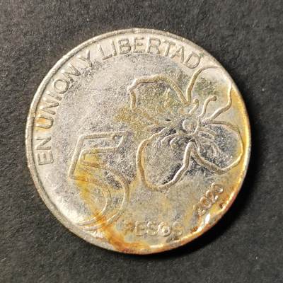 ↓君缘收藏445期☞钱币邮品↓无佣金、可寄存、满30元包邮  - 阿根廷🇦🇷