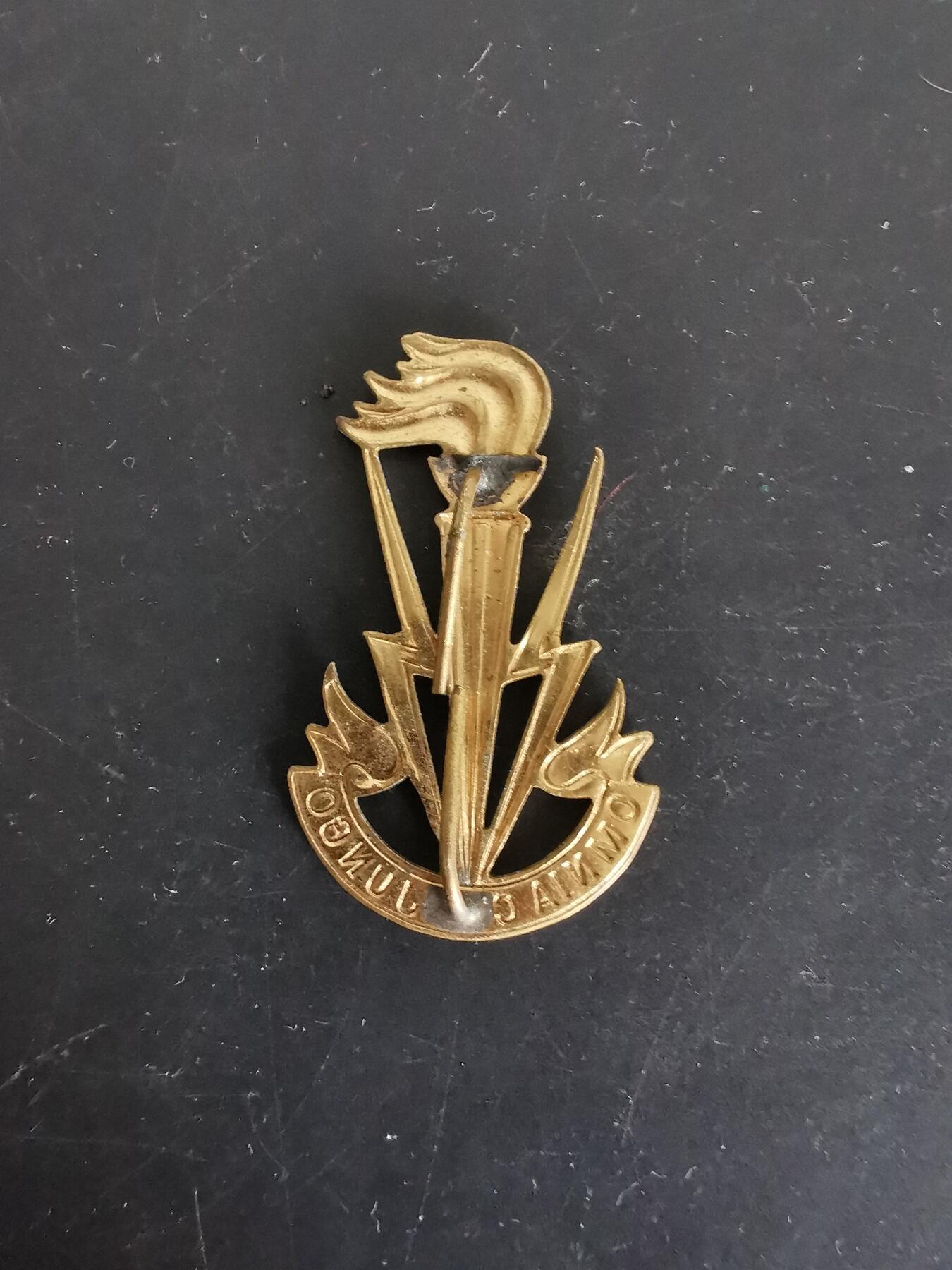 老王徽章第115期