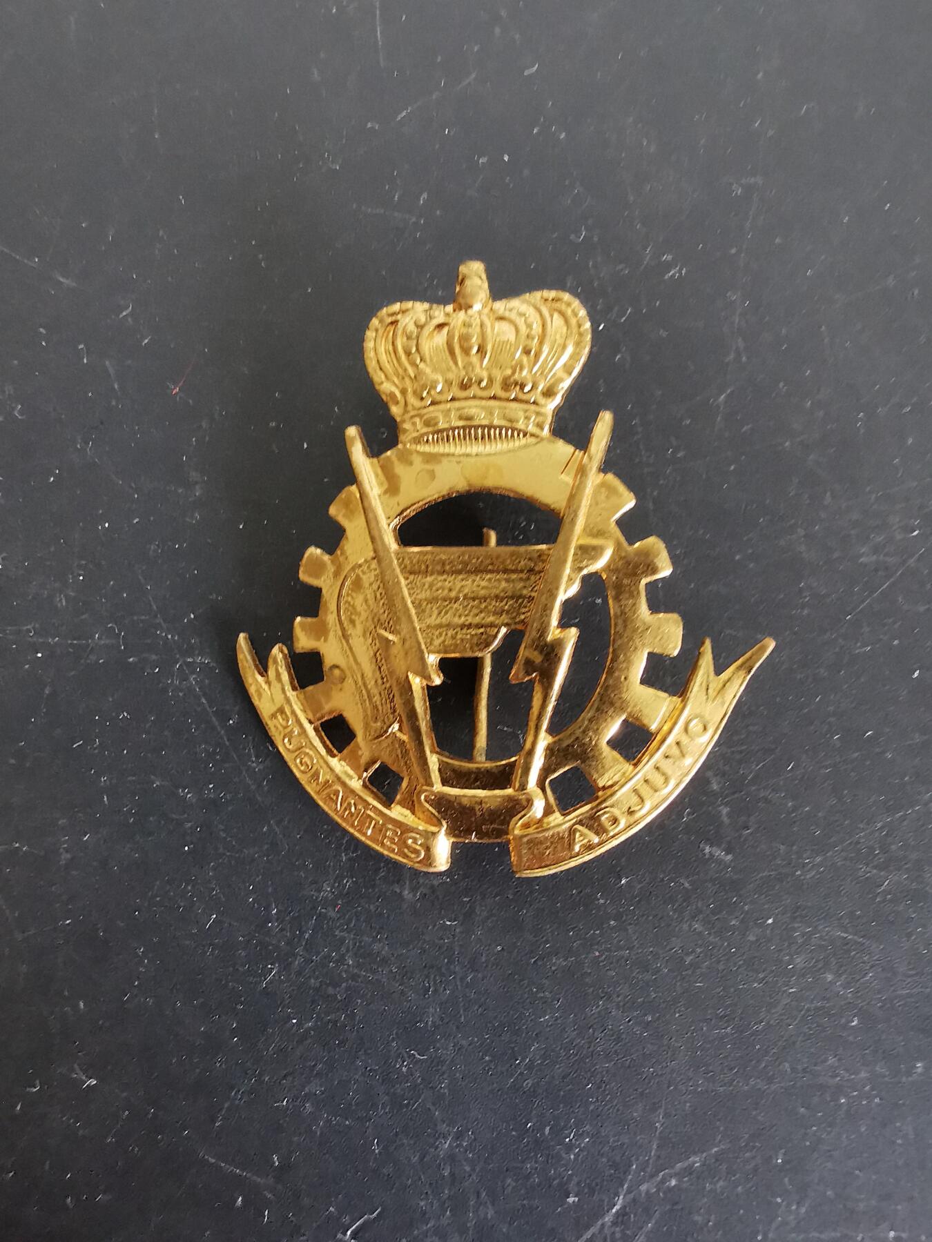 老王徽章第115期