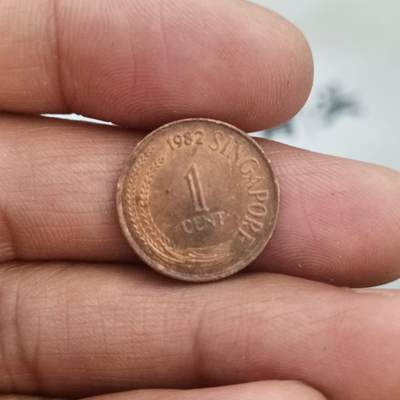 泡泡币外币第二十四场可代拍15038385335微信 - 新加坡