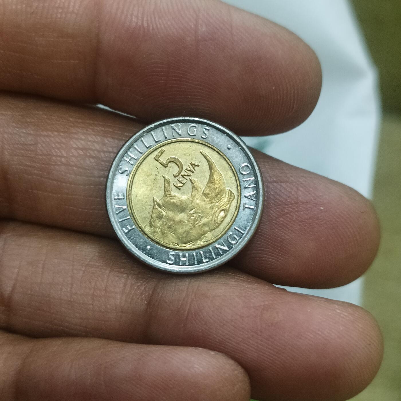 泡泡币外币第二十五场可代拍15038385335微信 肯尼亚