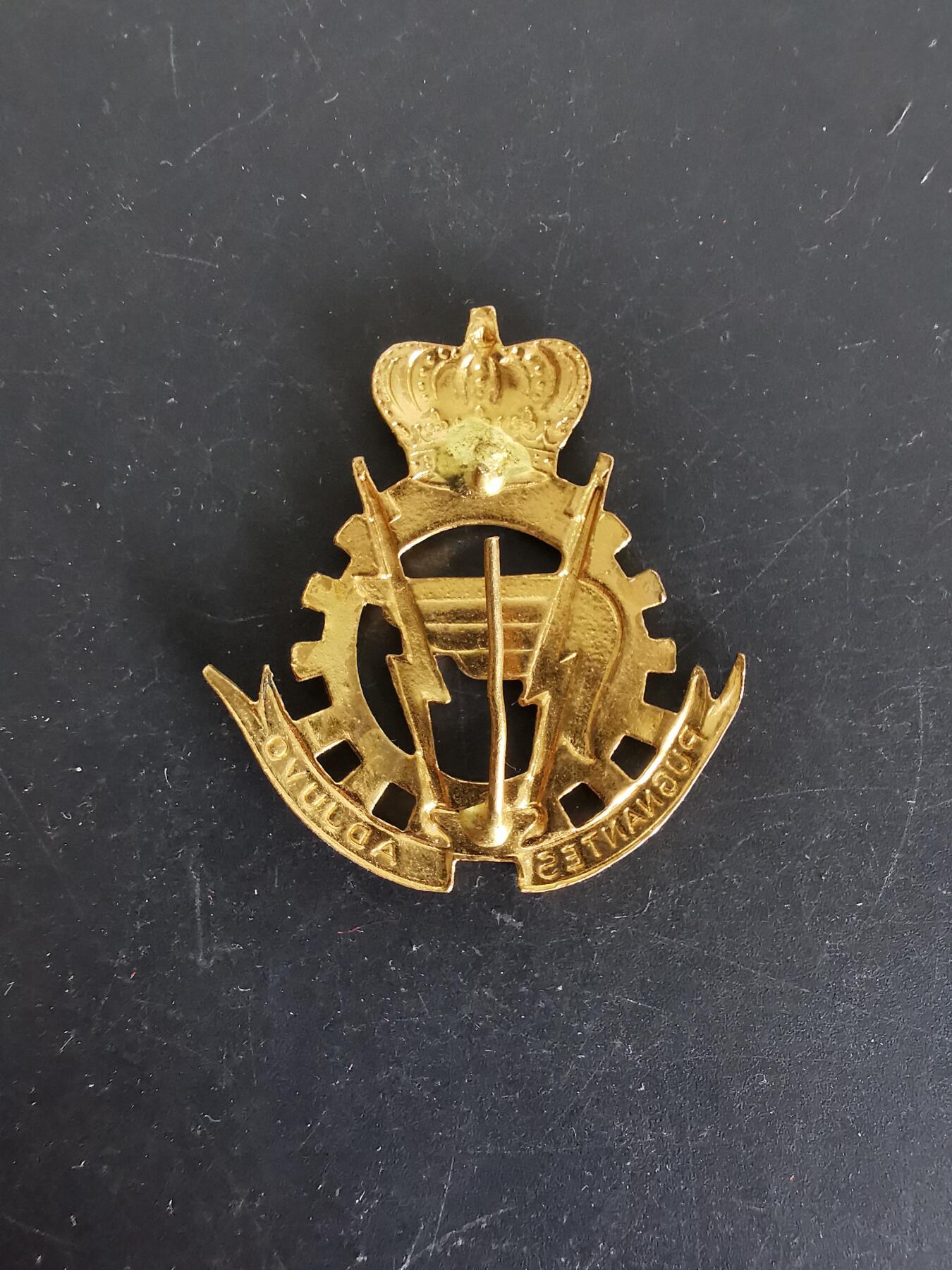 老王徽章第115期