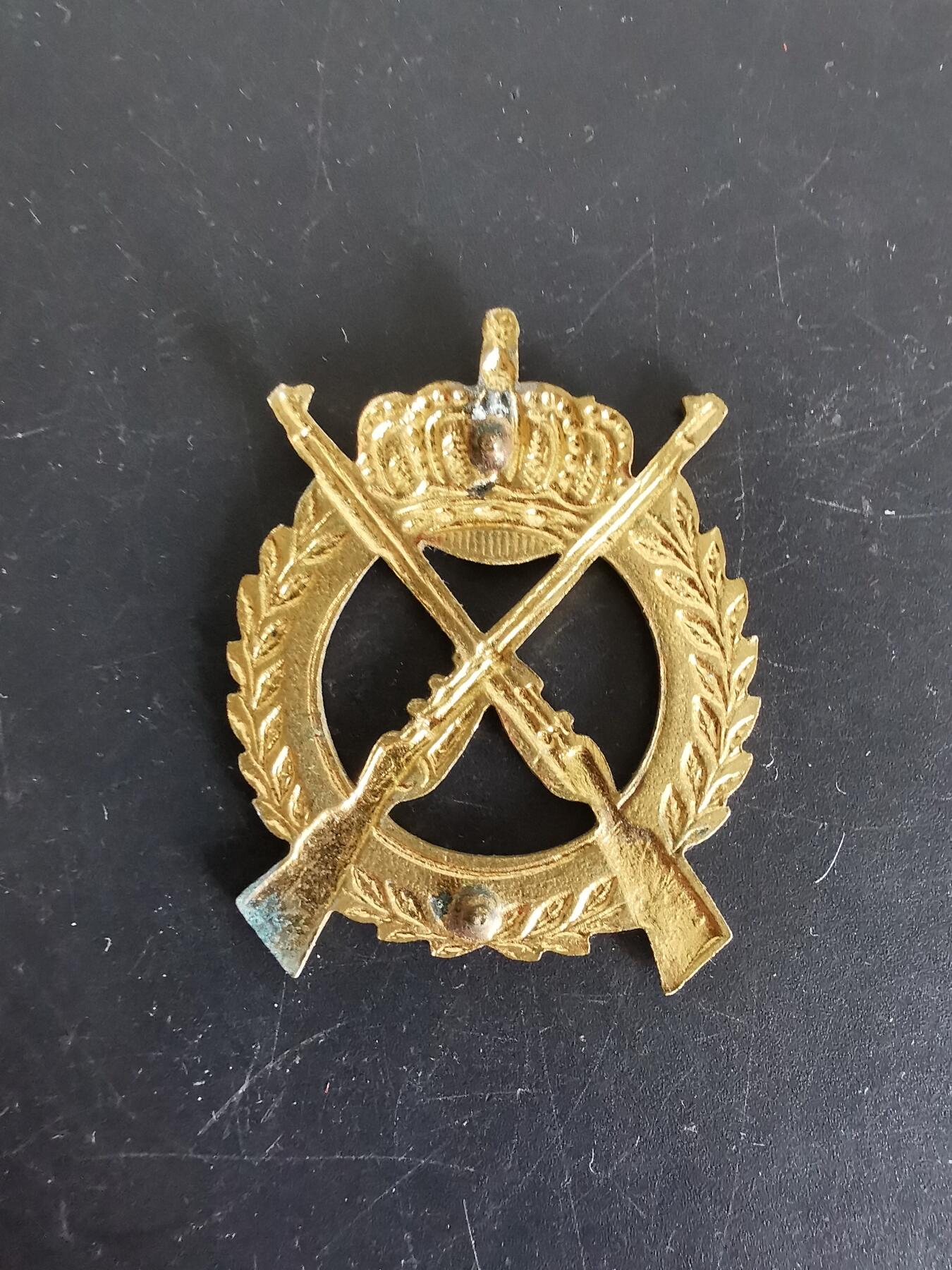 老王徽章第115期