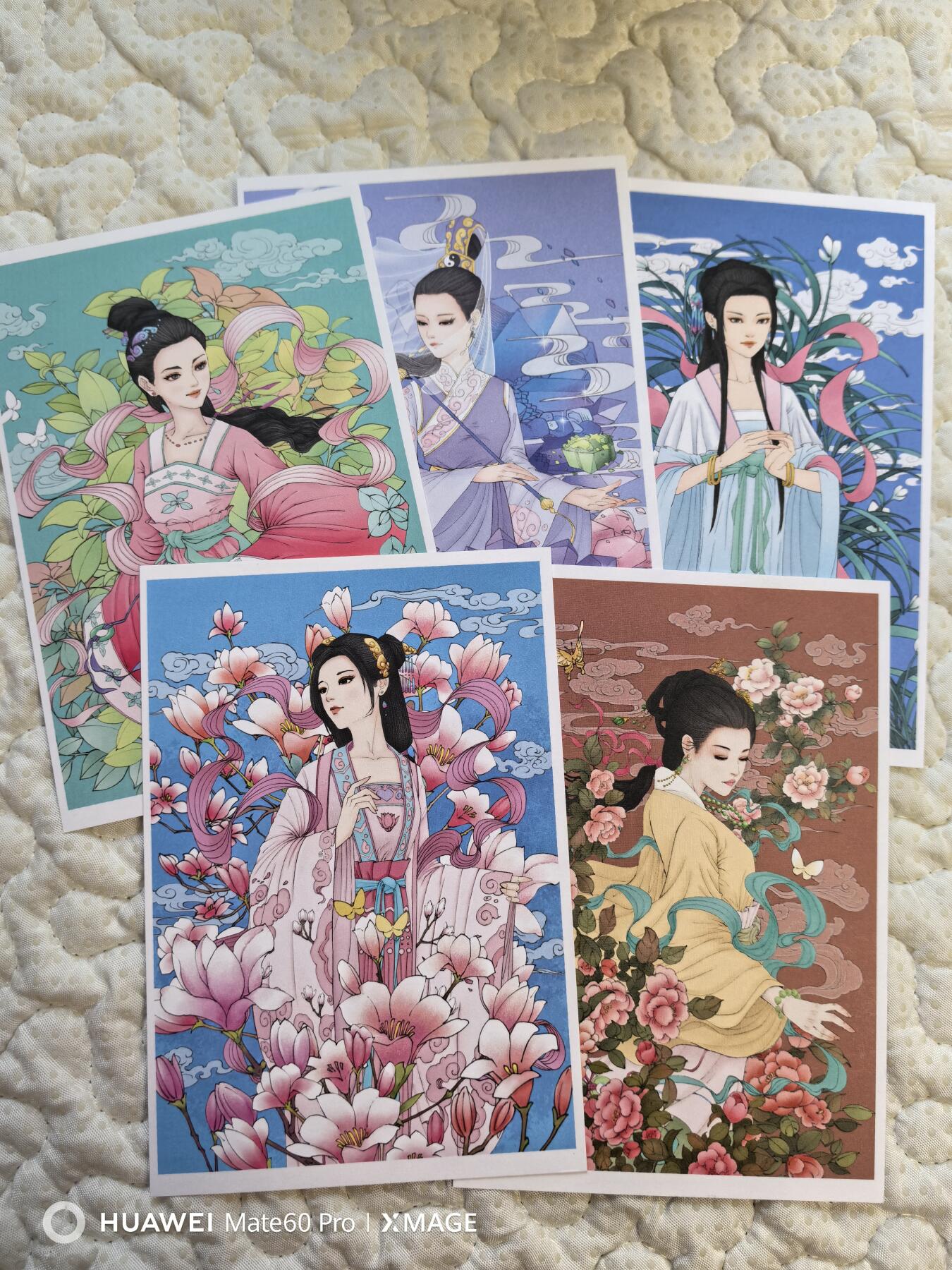 卡牌限时017期活动专场 小花瓣药香1明信片5张
