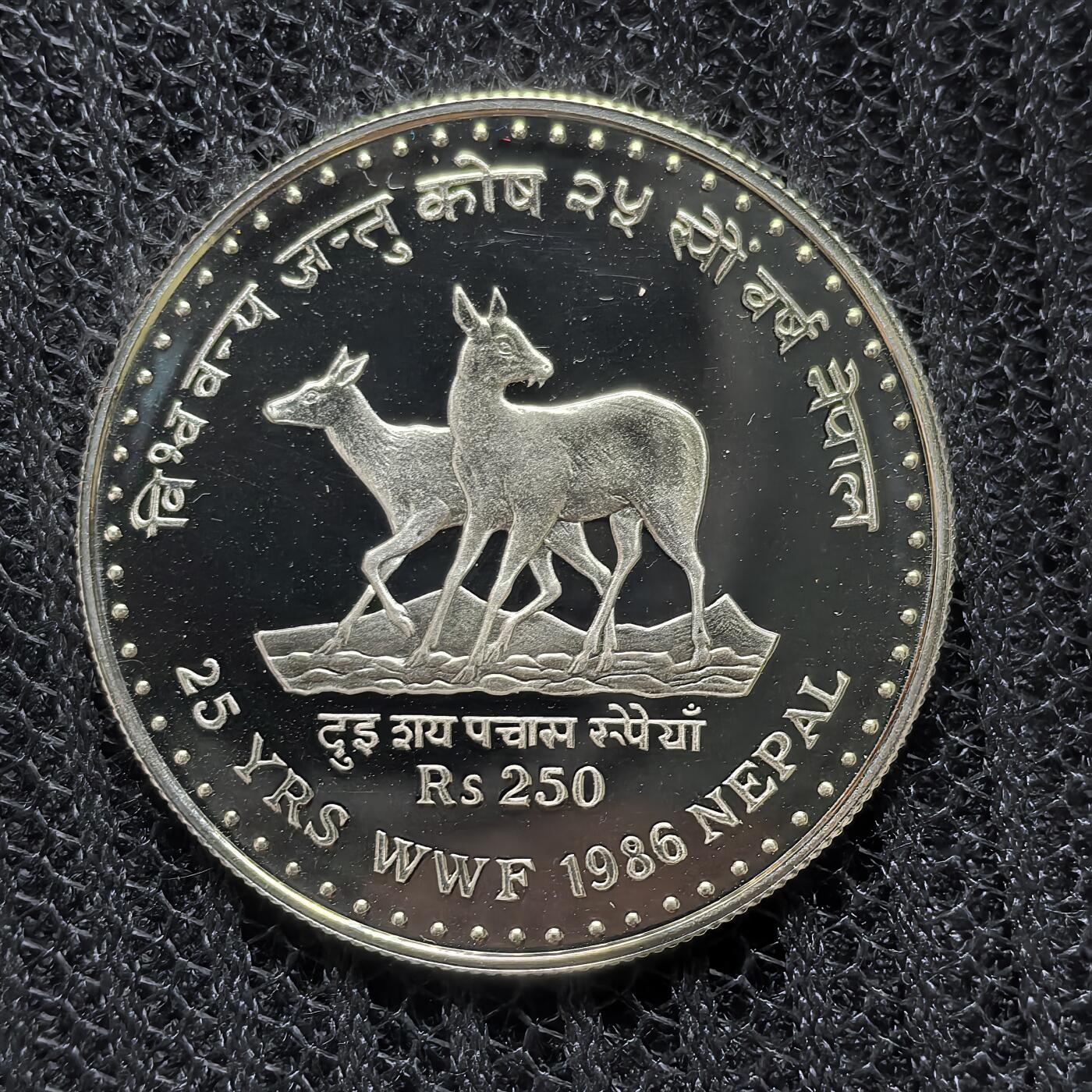 道一币馆币章第一百二十五场