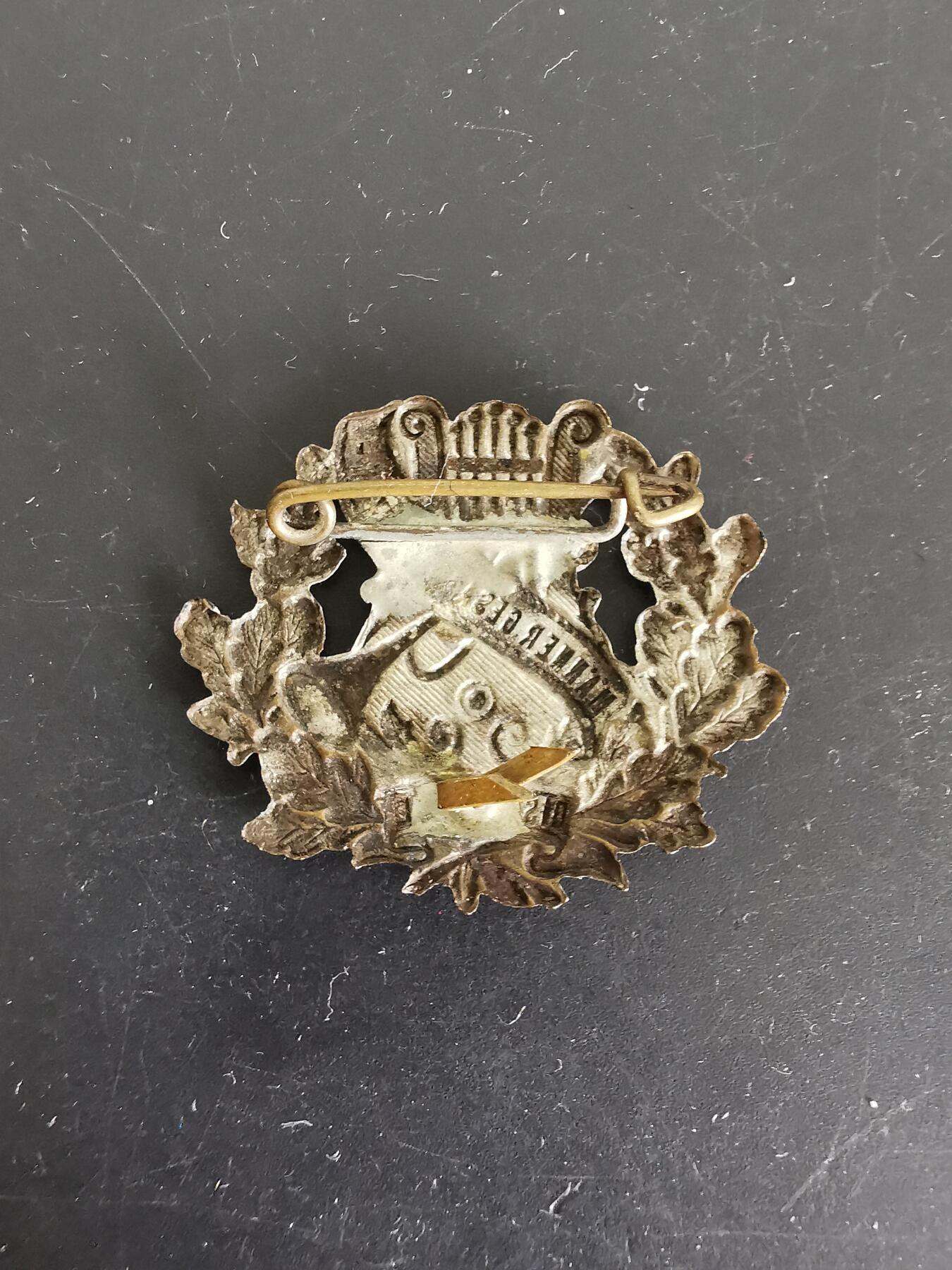 老王徽章第115期