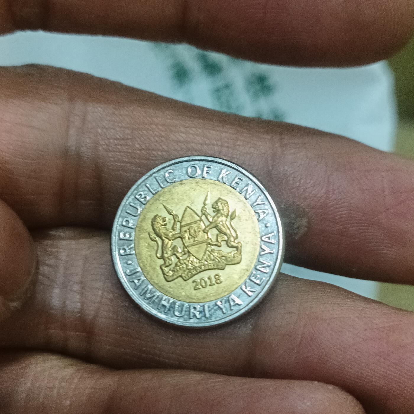 泡泡币外币第二十五场可代拍15038385335微信 肯尼亚