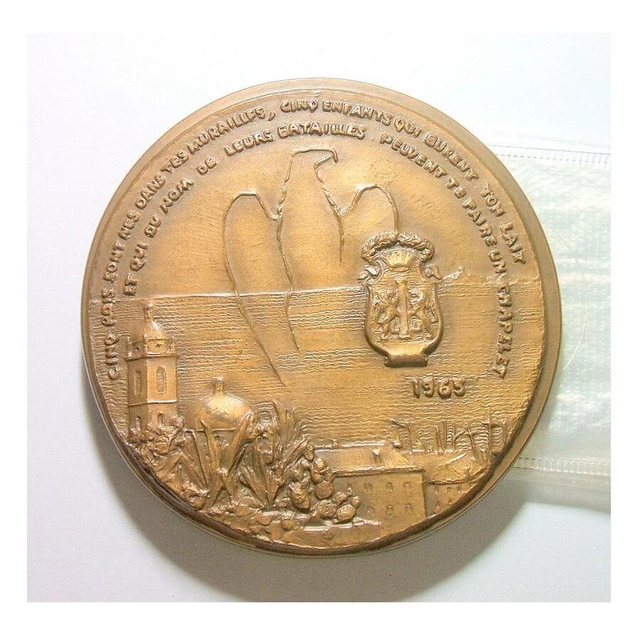 【艺术】法国艺术大章 拿破仑出生200周年 高浮雕精制超大铜章 70MM 211克