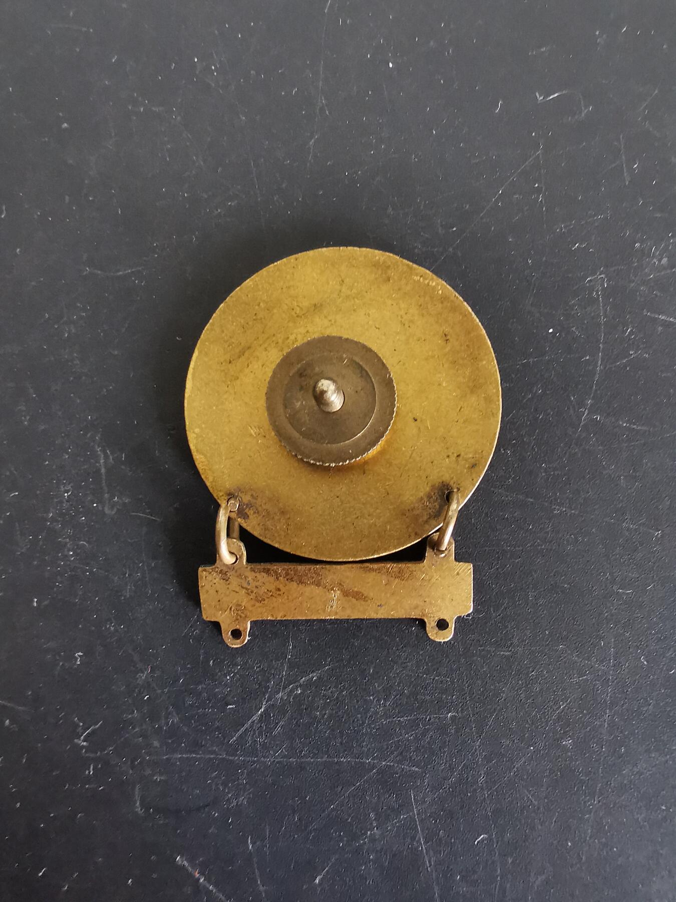 老王徽章第115期