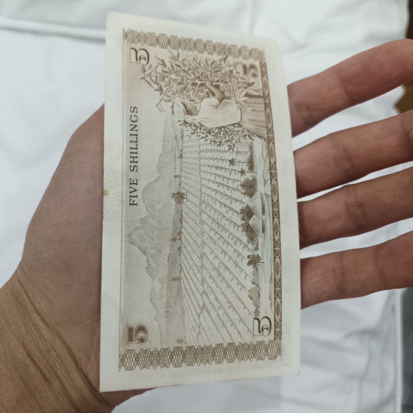 泡泡币外币第二十七场可代拍15038385335微信