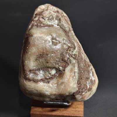 希腊罗马丝路打制币化石【中外钱币五一假期】专场！陆小鱼的钱币仓，限时拍卖第059场 - 少见品种乱纹化石 玉化程度非常好 图案特殊 纹路很少见 4.5亿年前奥陶纪时期古生物化石标本 268g