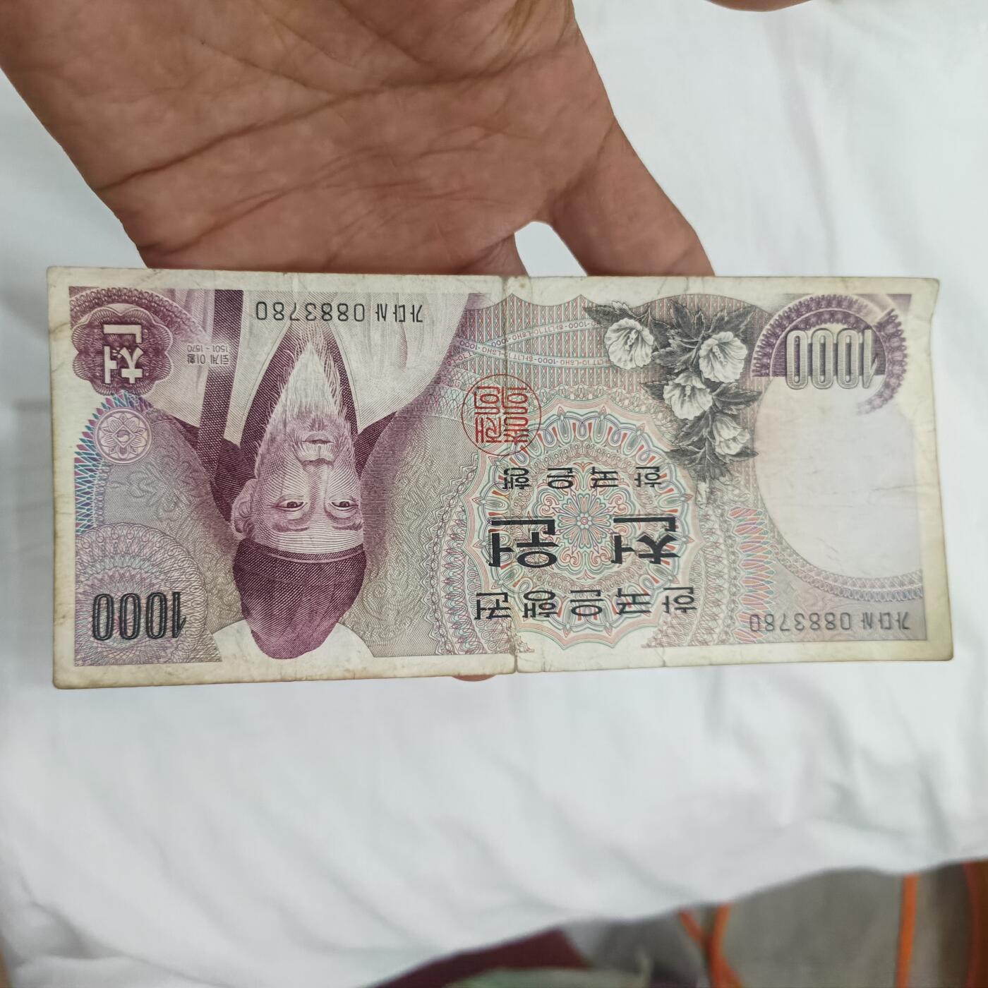泡泡币外币第二十六场可代拍15038385335微信 韩国