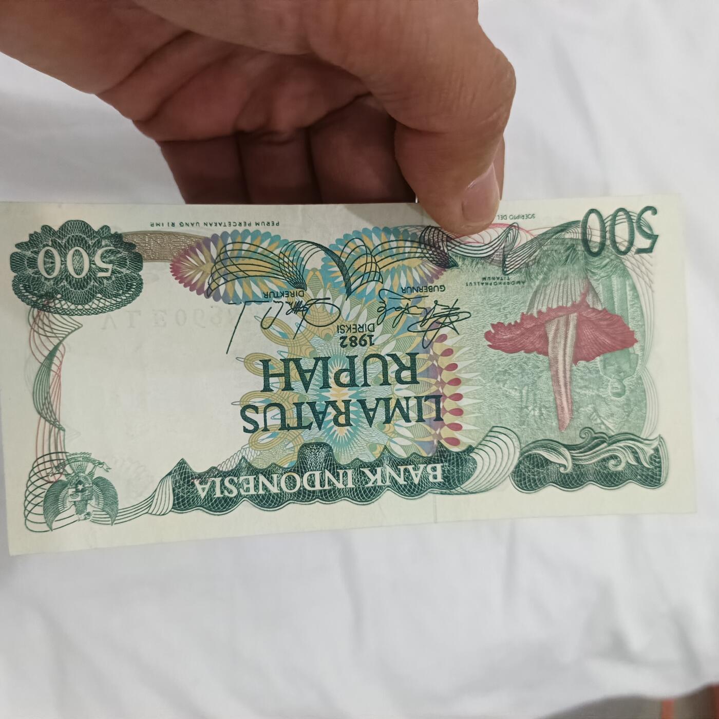 泡泡币外币第二十六场可代拍15038385335微信 印尼大绿花