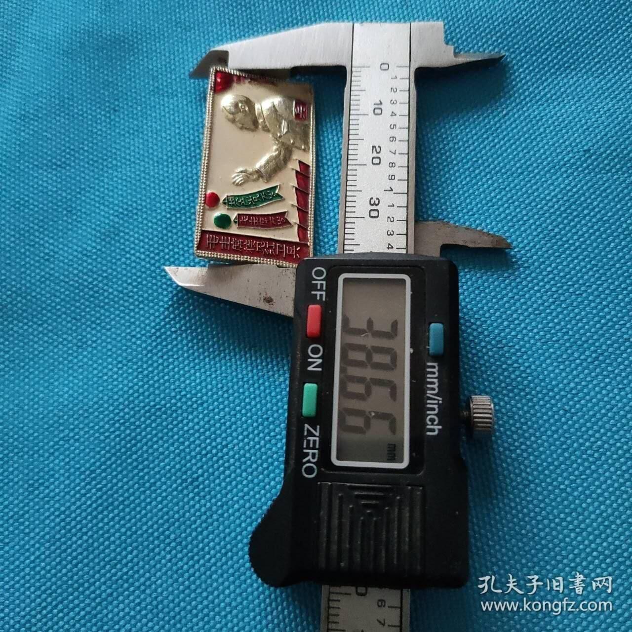 毛主席接见红卫兵