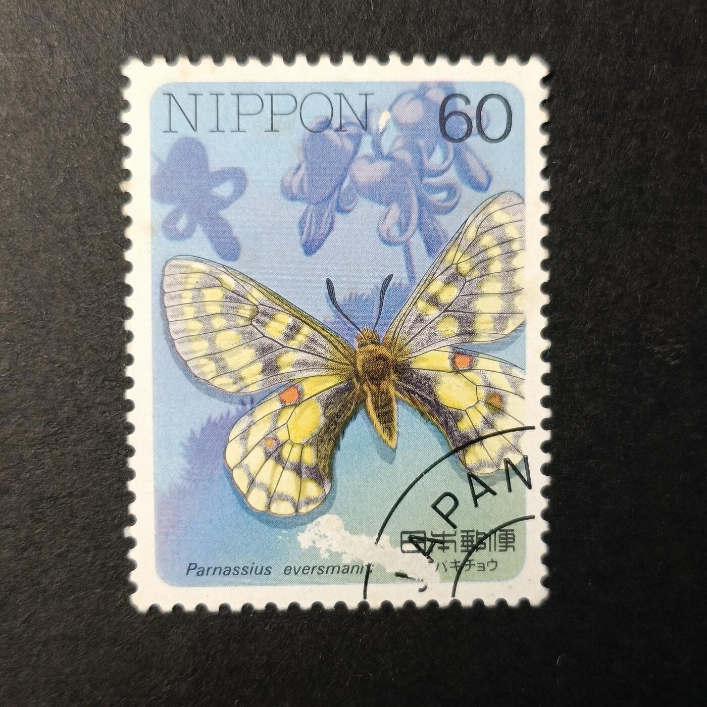 嘉禾收藏    【第177期】            无佣金、可寄存、满30元包邮