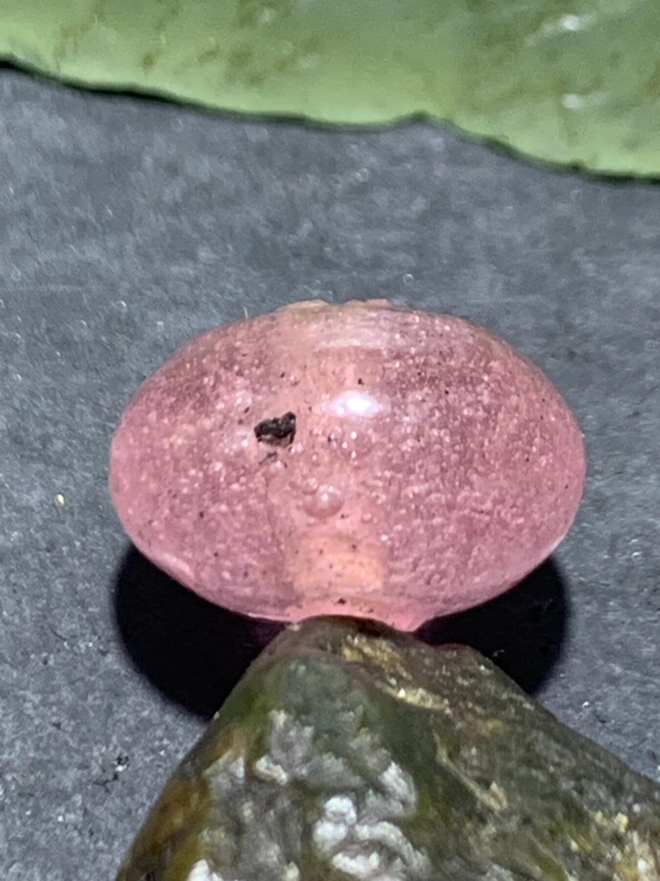 建国前后库存冰透冰粉色琉璃车轮珠一颗