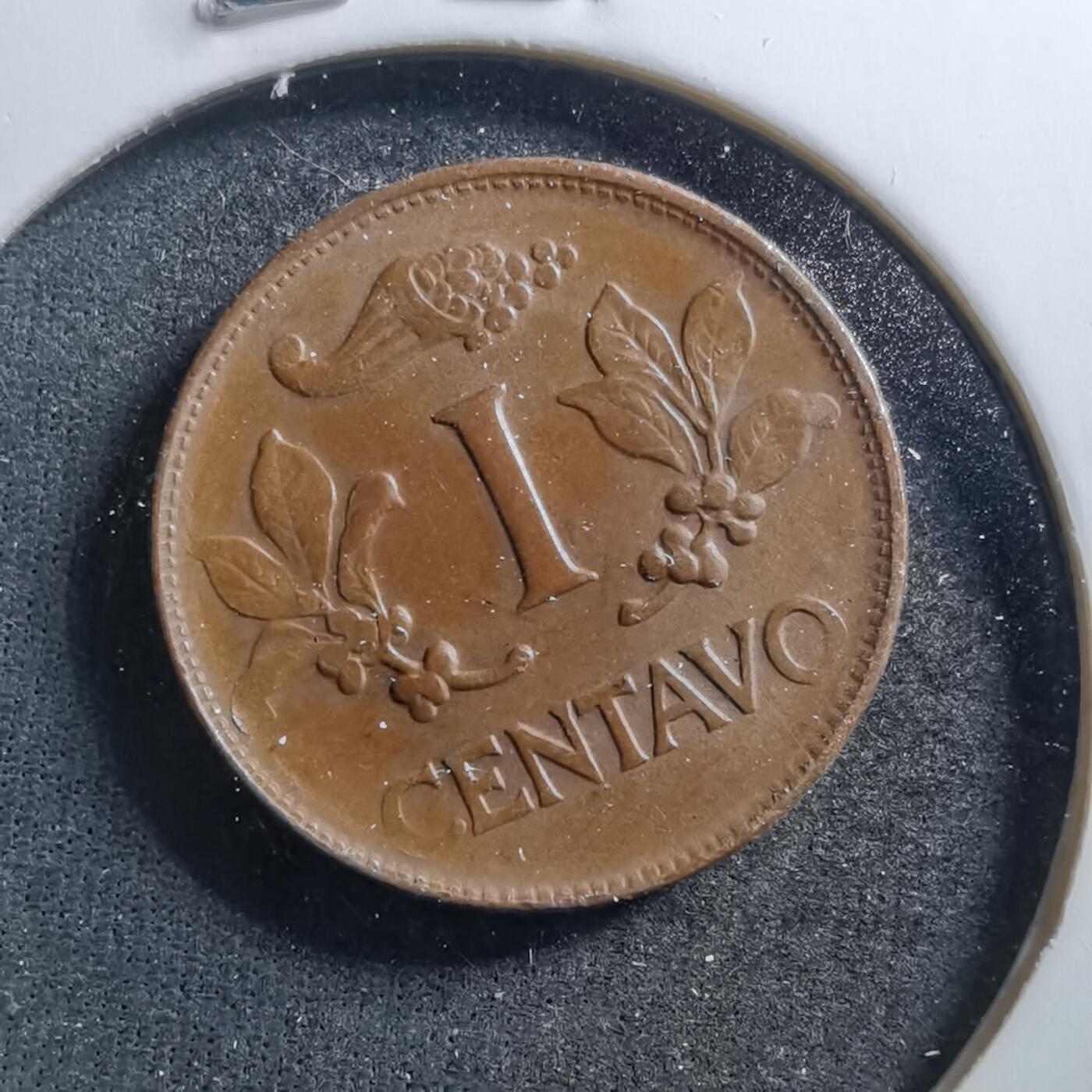 沼泽如烟--第703场