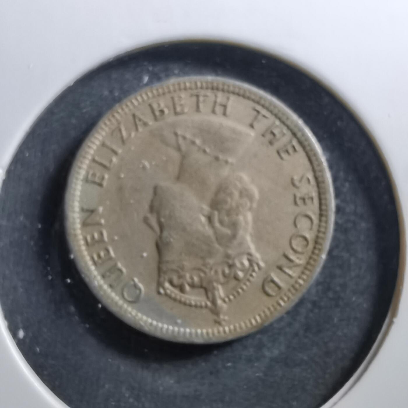 沼泽如烟--第703场