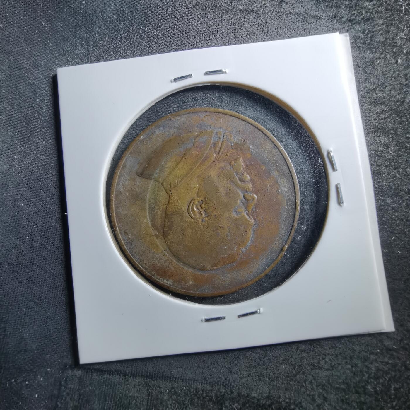 沼泽如烟--第703场