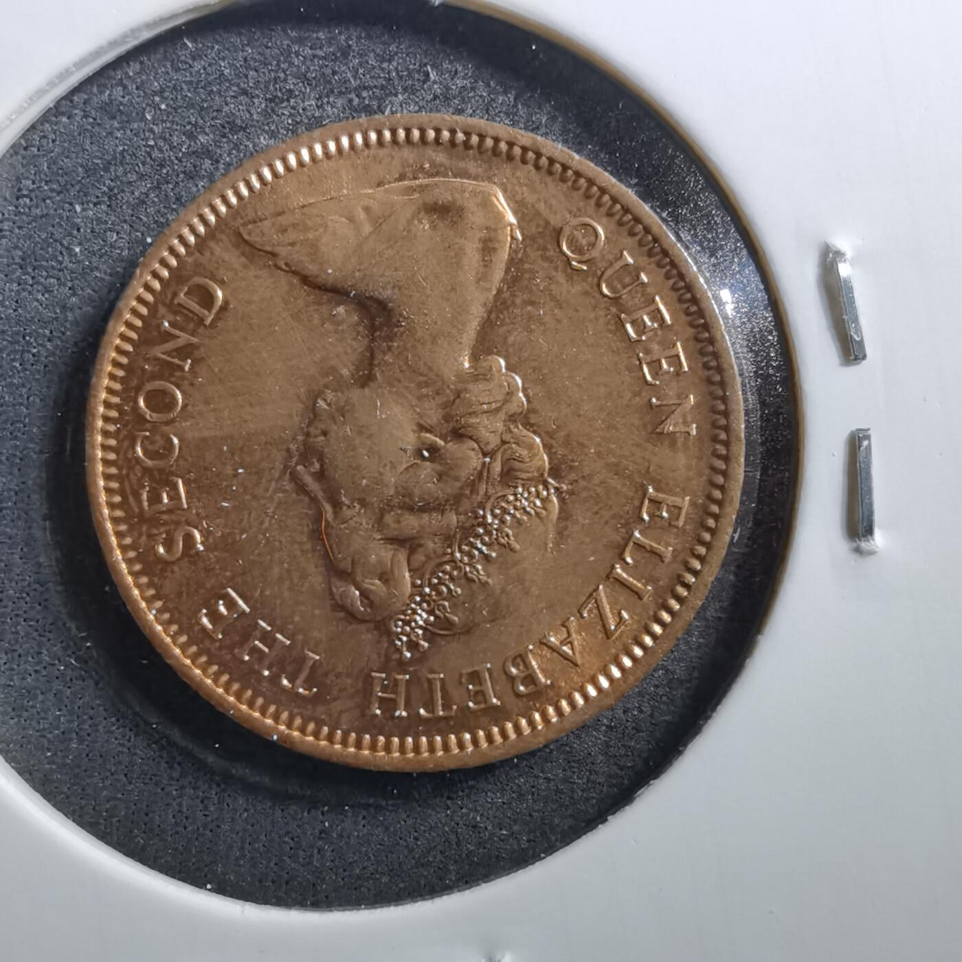 沼泽如烟--第703场