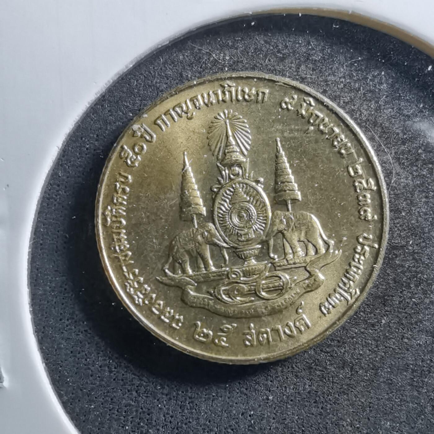 沼泽如烟--第703场