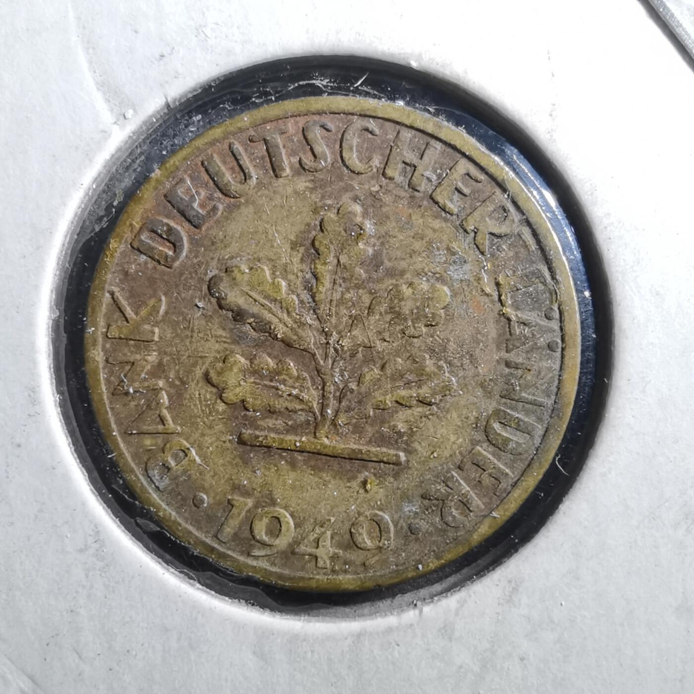 沼泽如烟--第703场