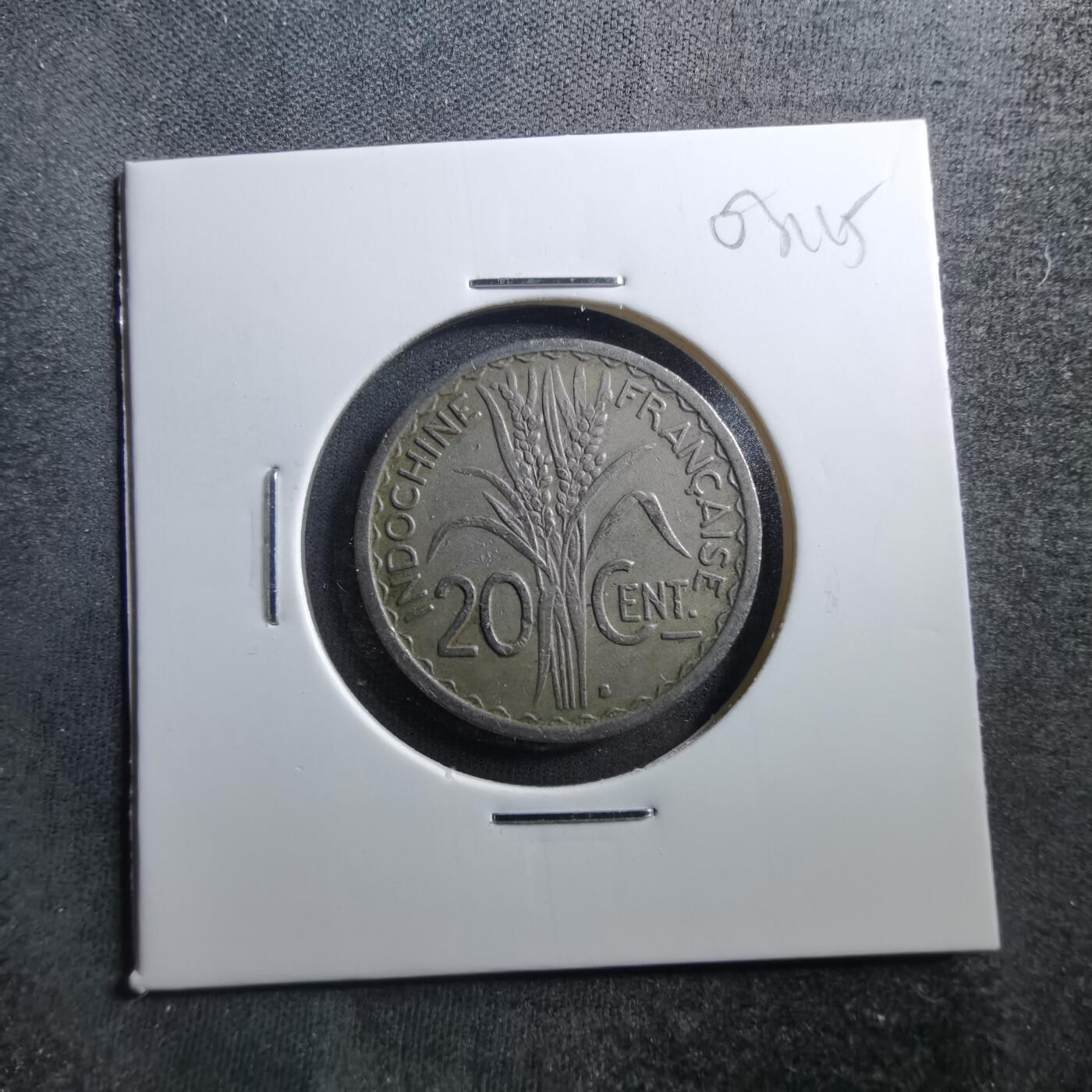 沼泽如烟--第703场