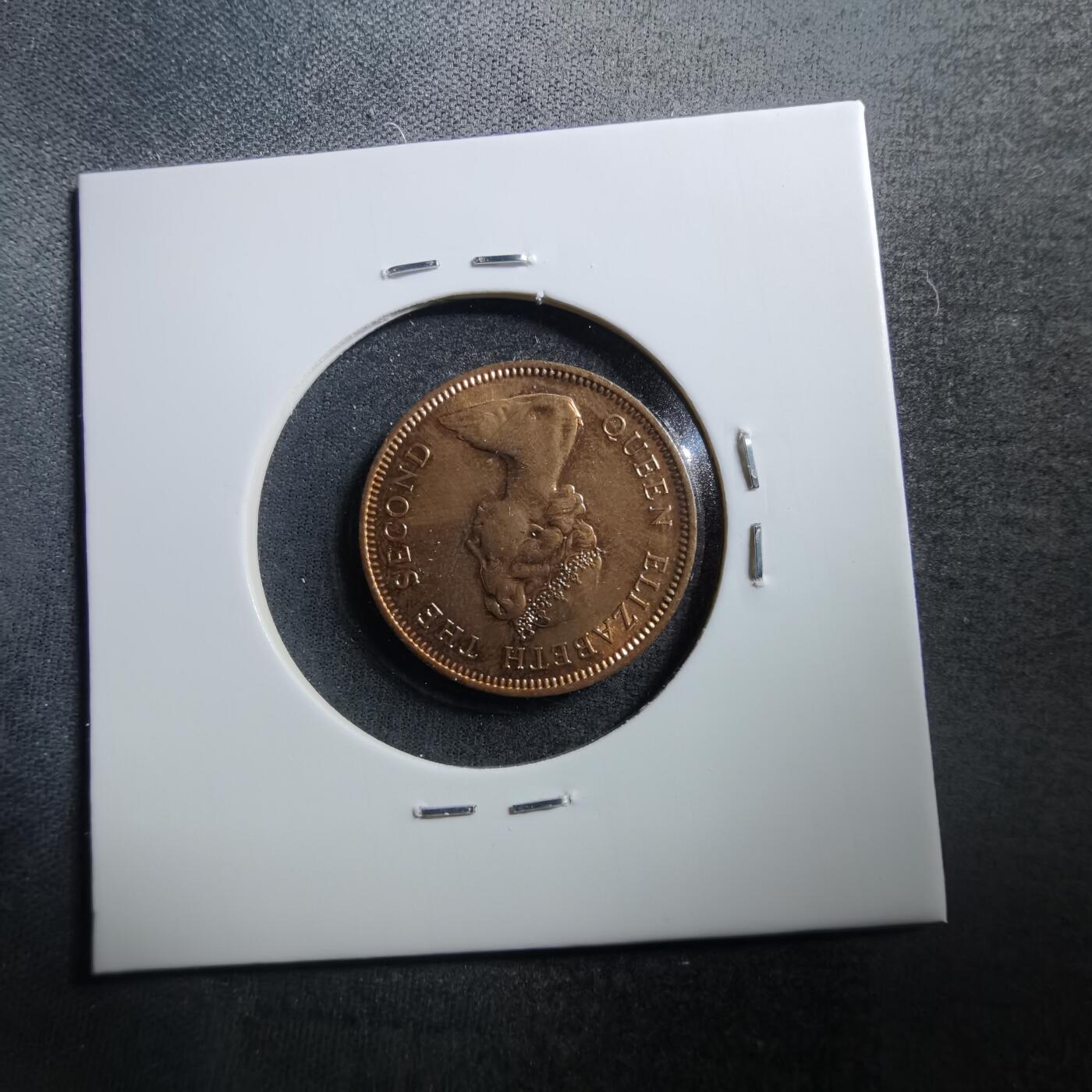 沼泽如烟--第703场