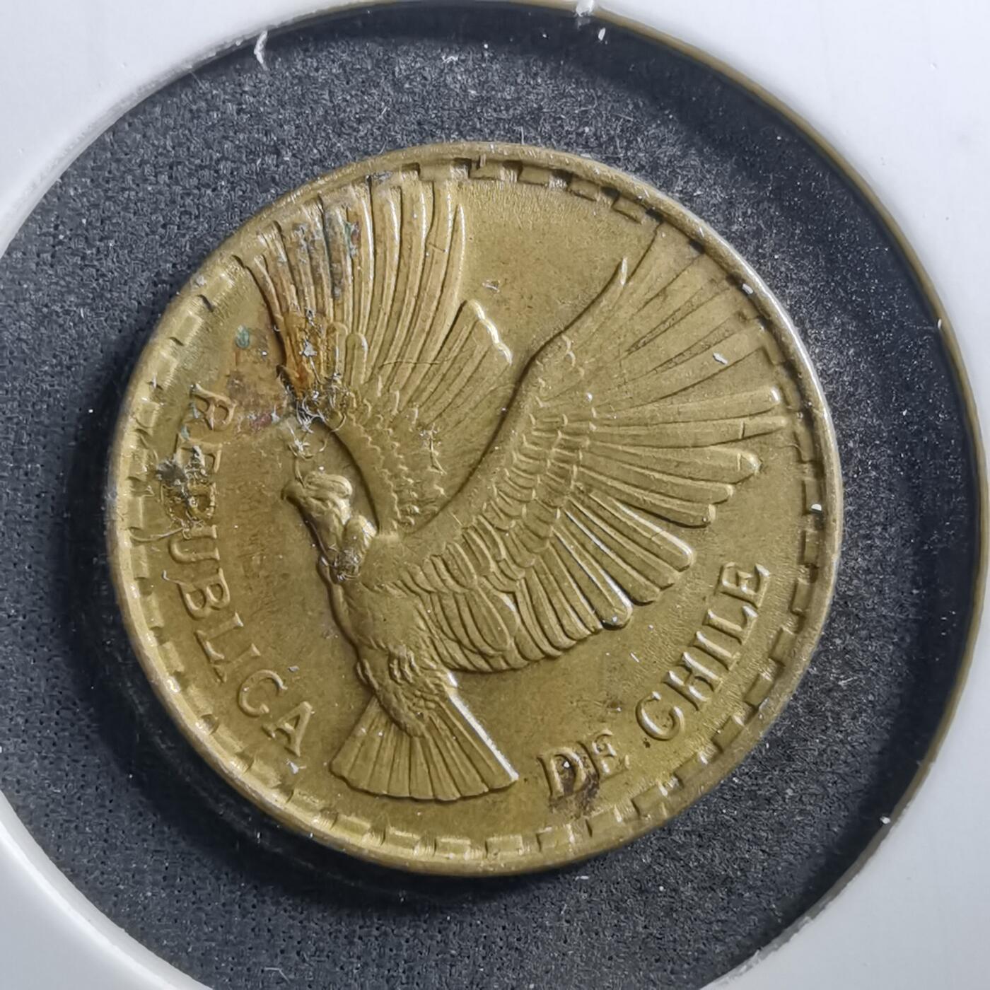 沼泽如烟--第703场