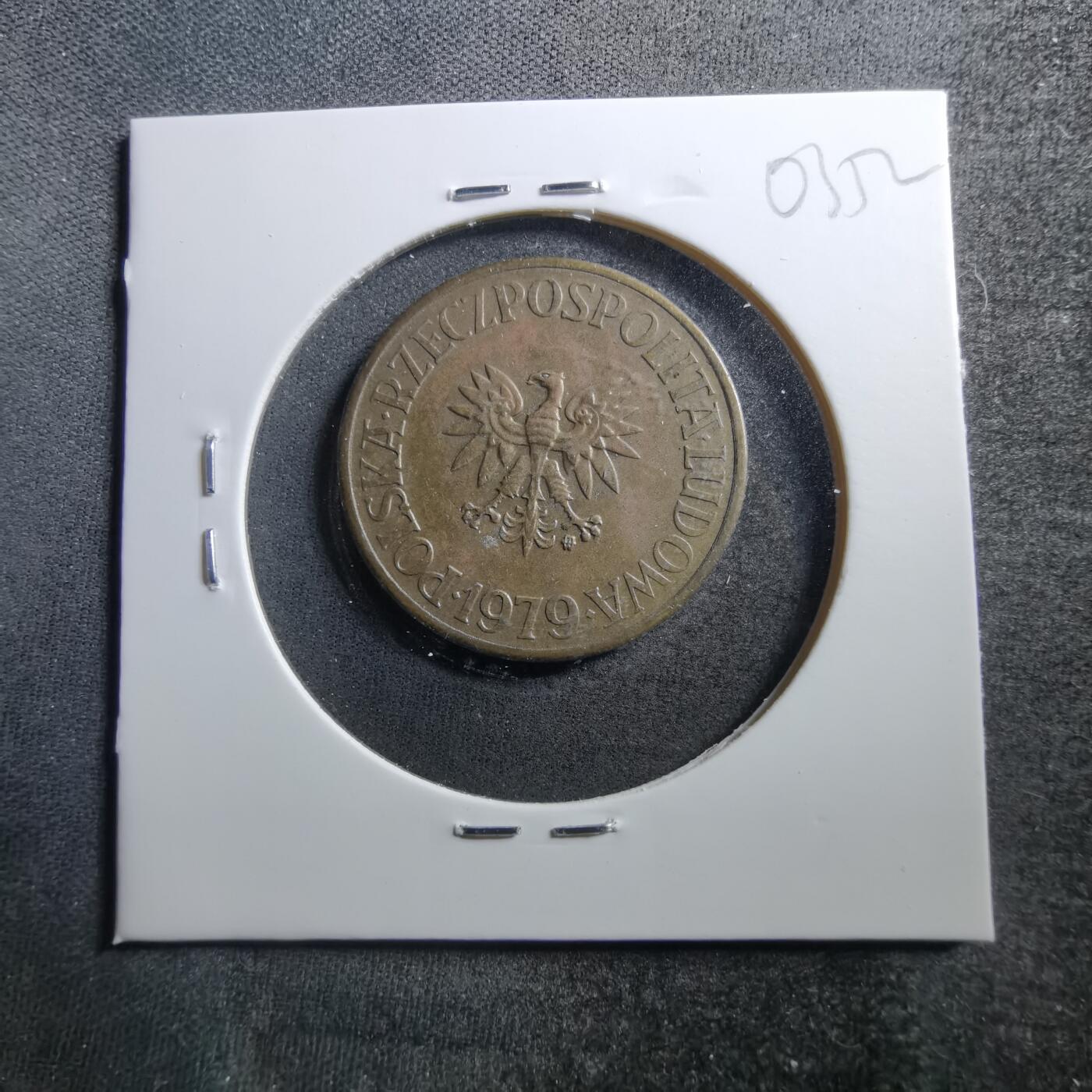 沼泽如烟--第703场