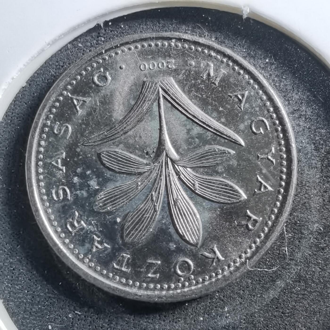 沼泽如烟--第703场