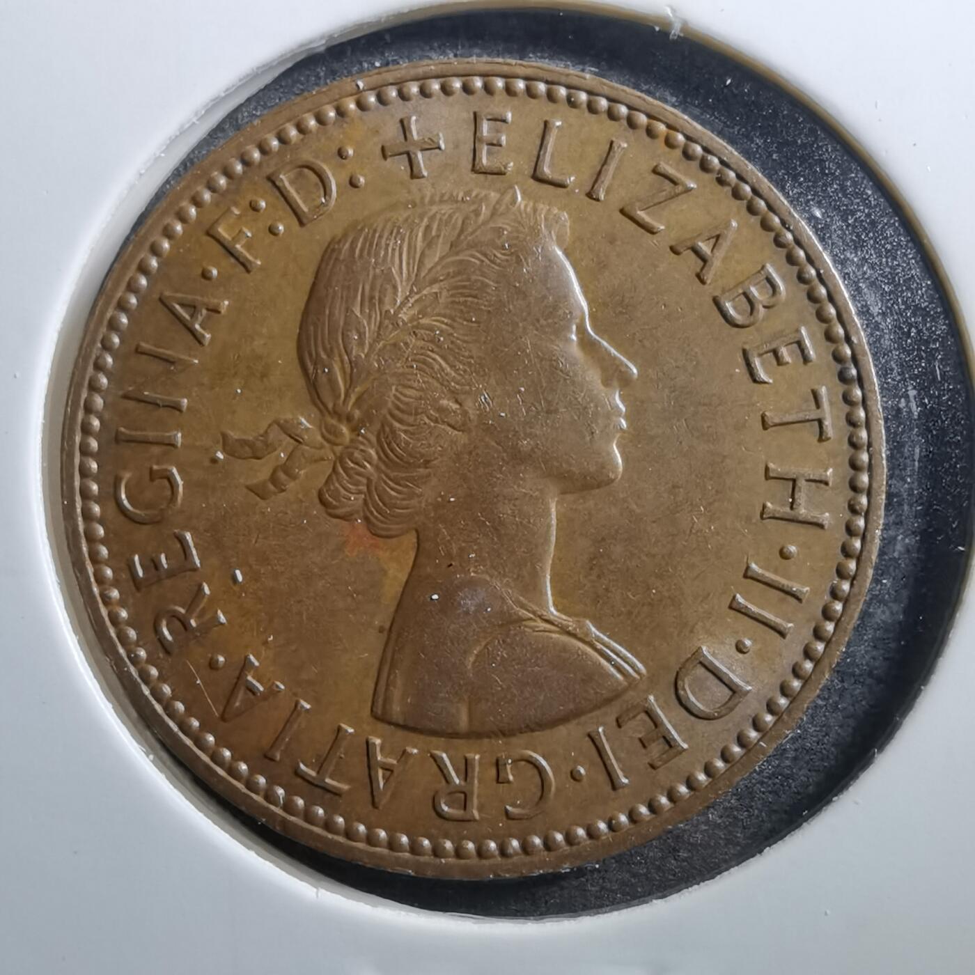 沼泽如烟--第703场