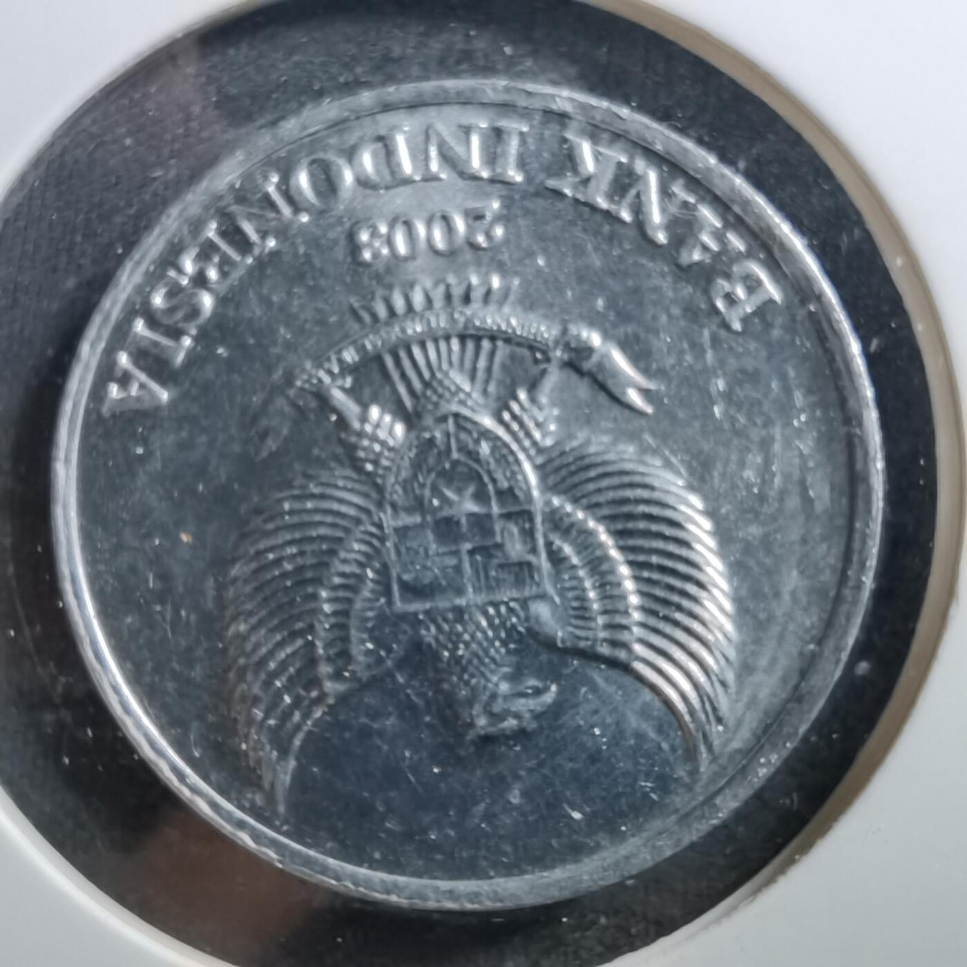 沼泽如烟--第703场