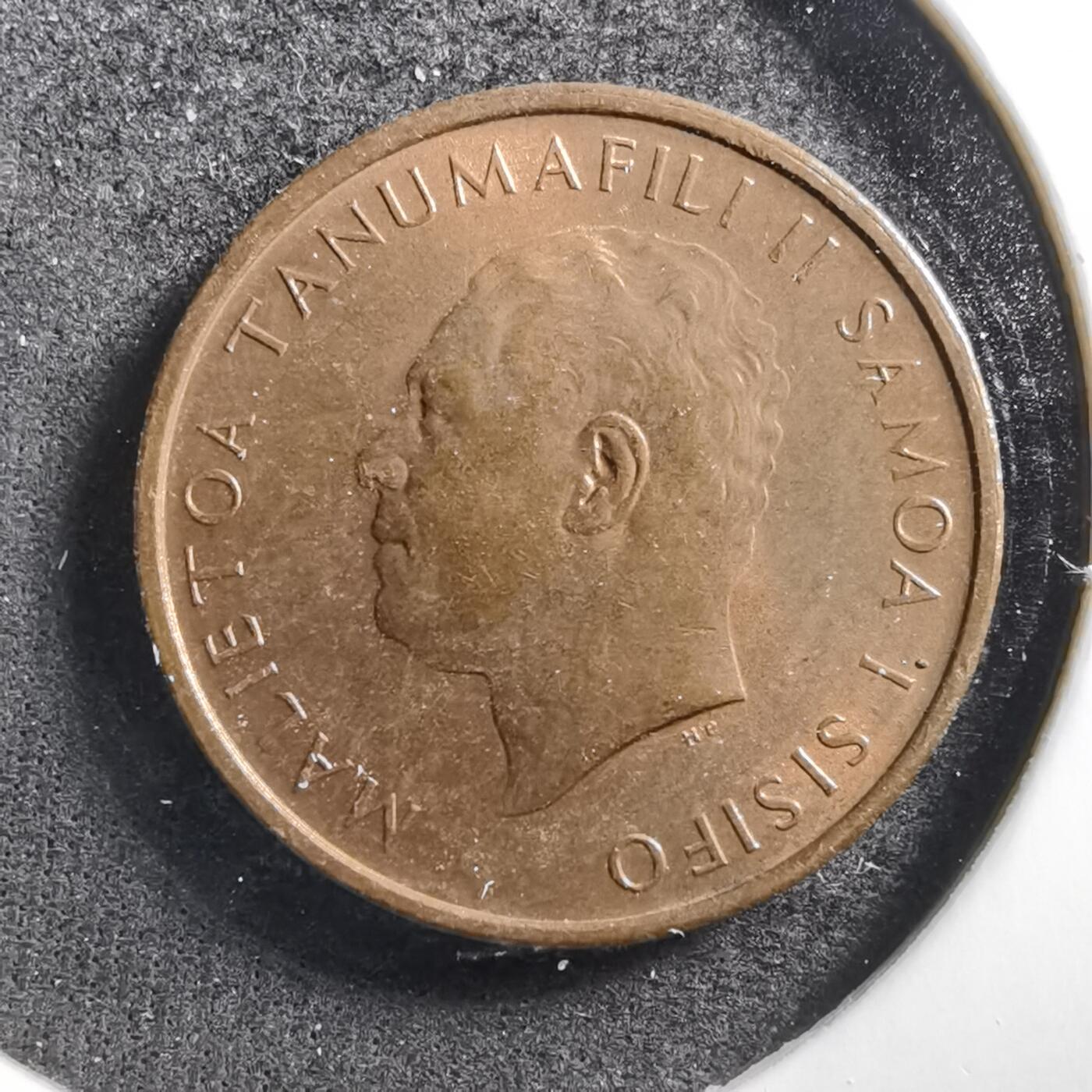 沼泽如烟--第703场