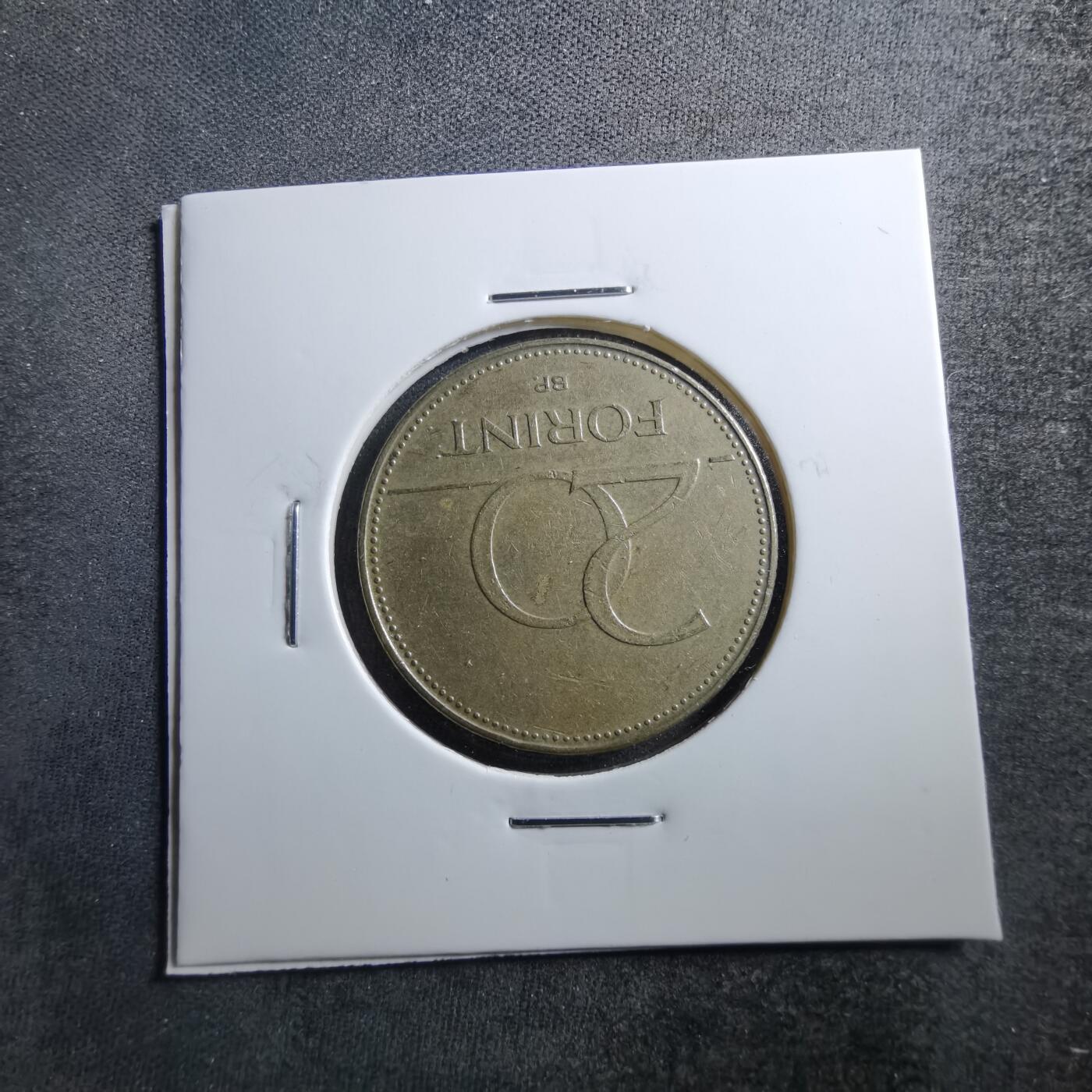 沼泽如烟--第703场