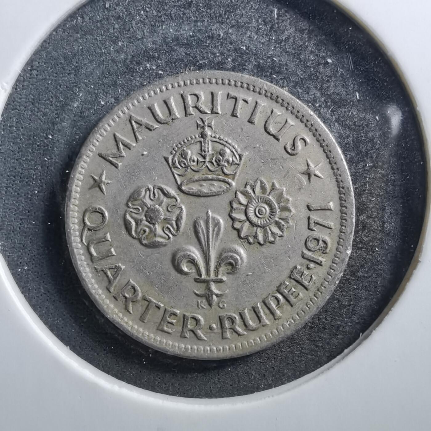 沼泽如烟--第703场