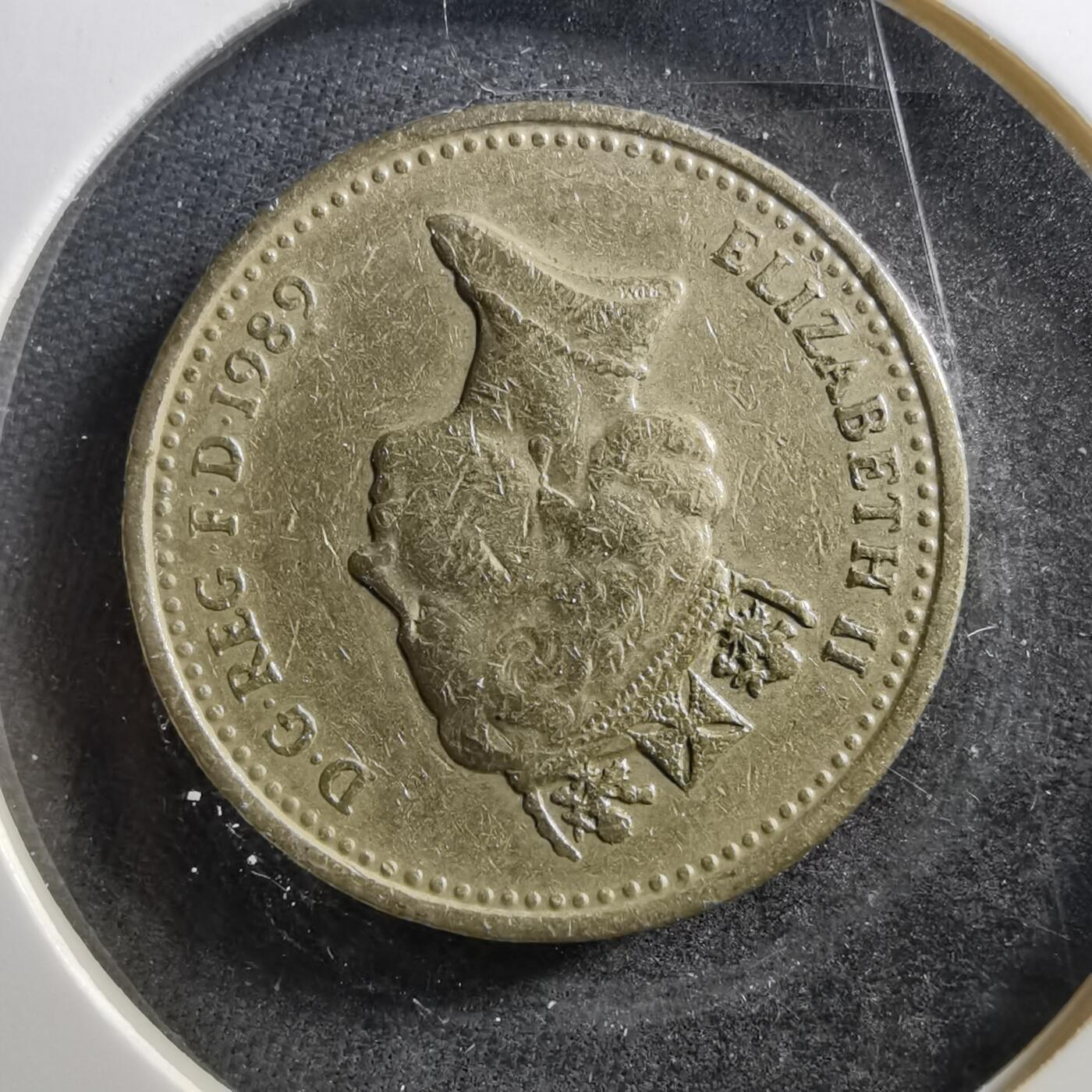 沼泽如烟--第703场