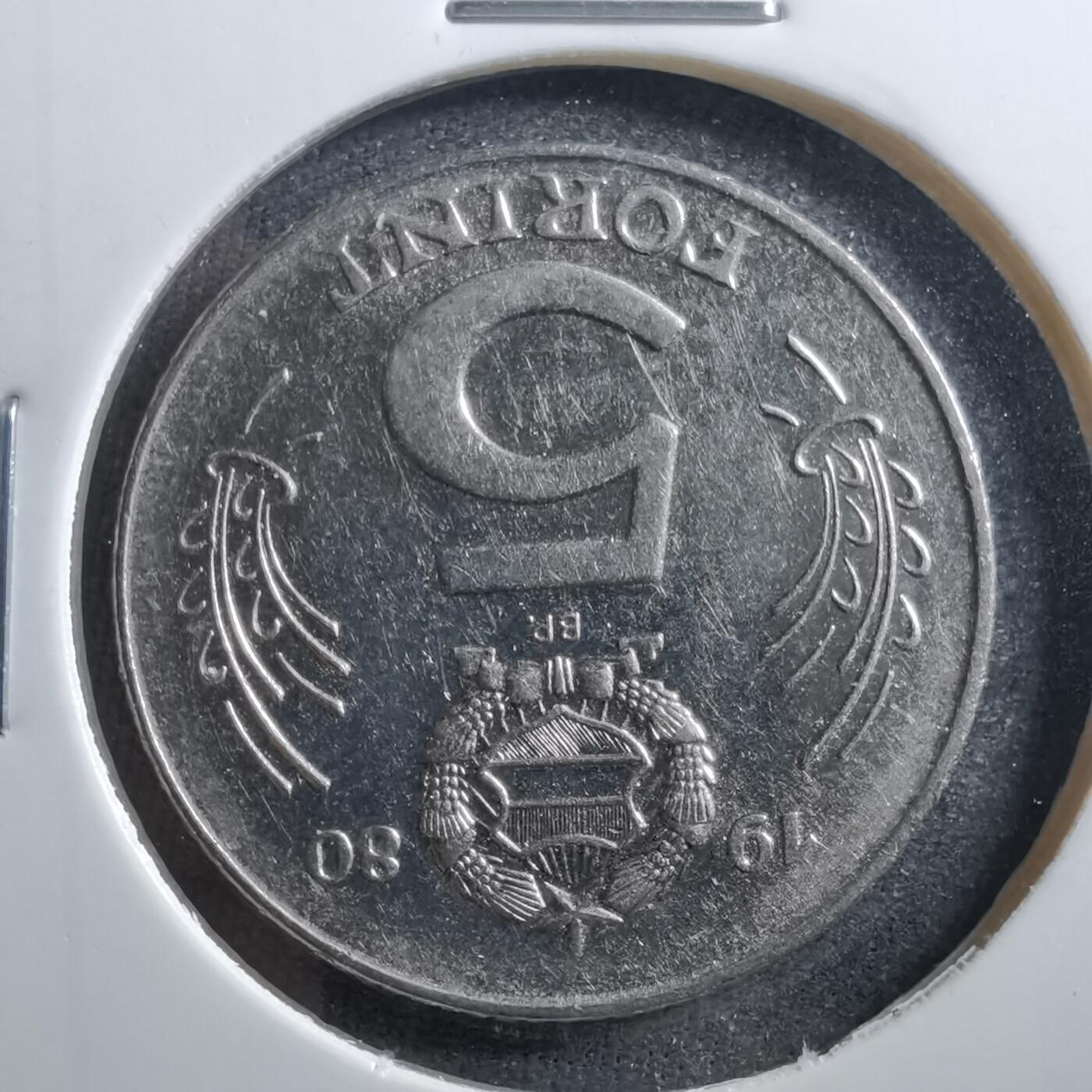 沼泽如烟--第703场