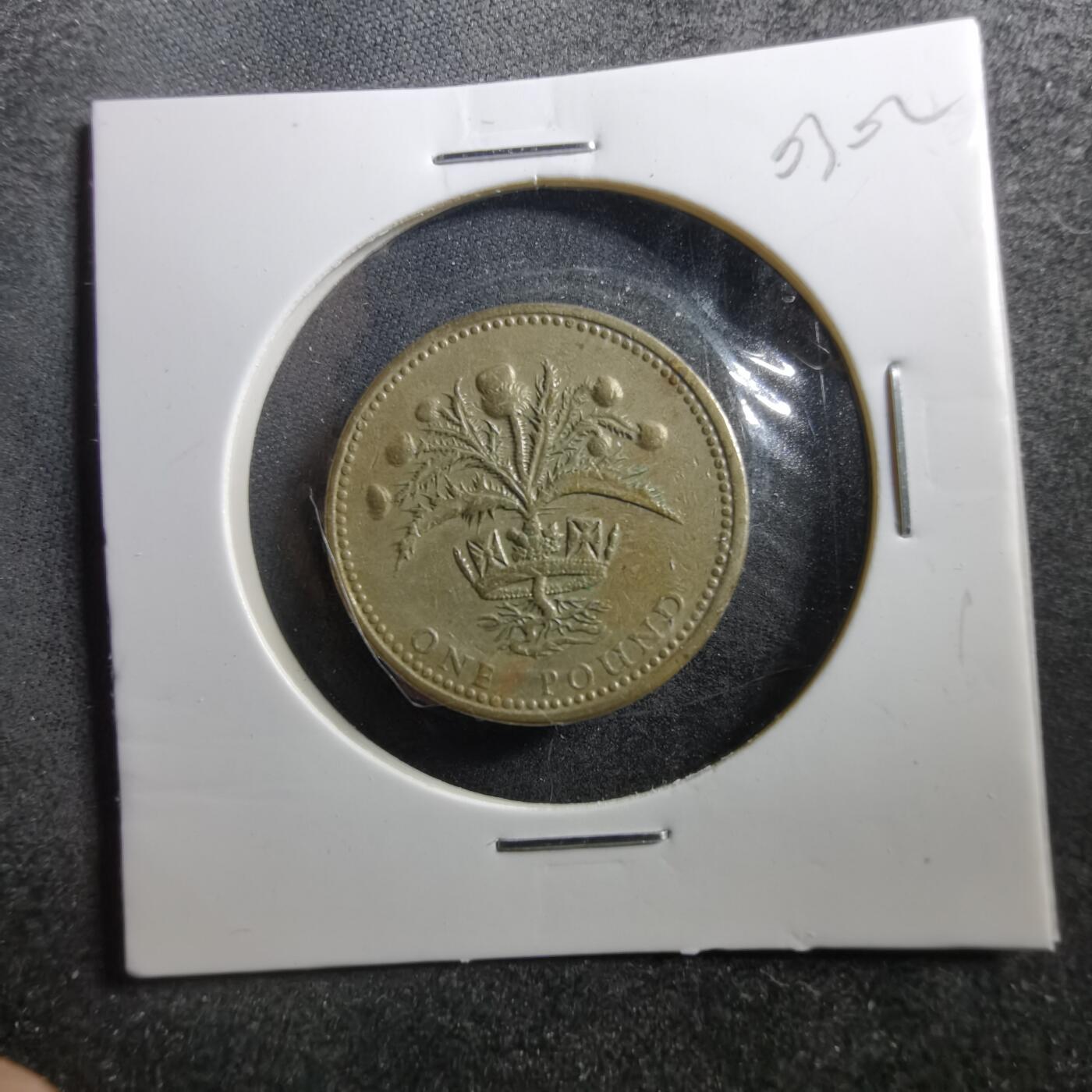 沼泽如烟--第703场