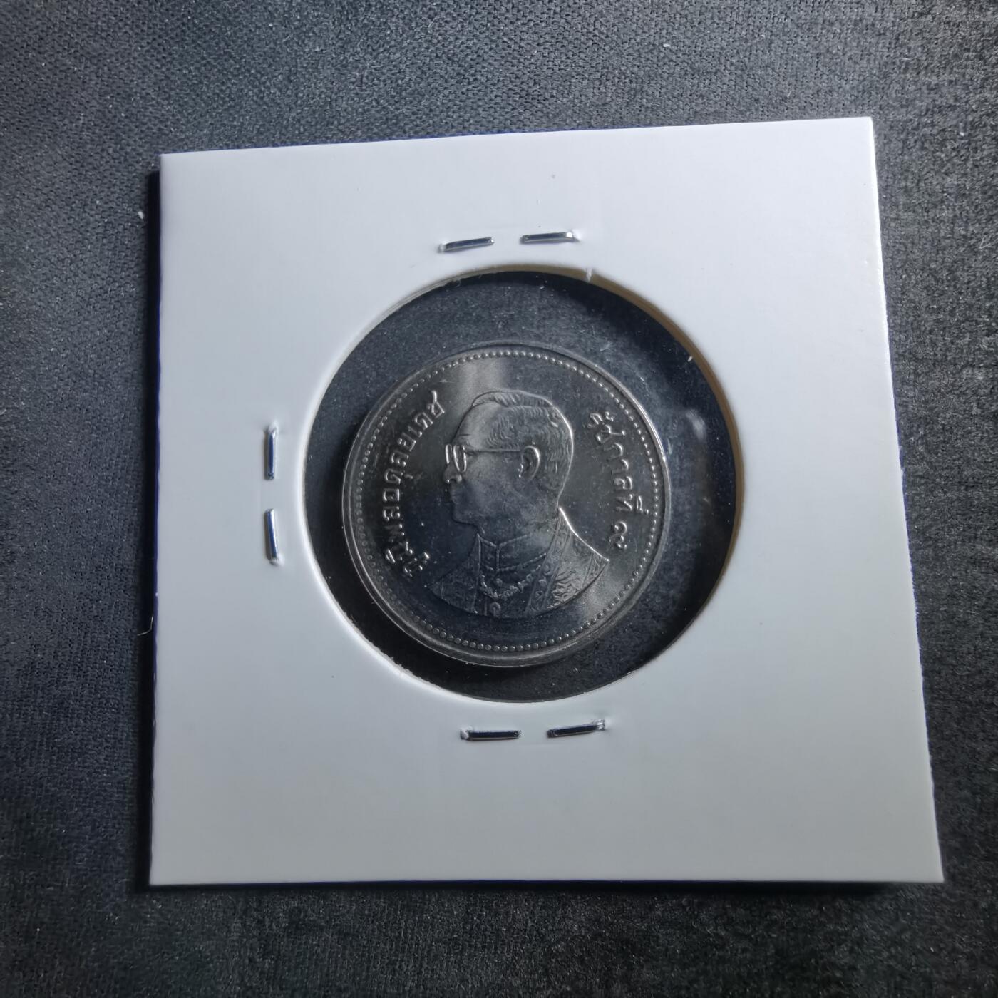 沼泽如烟--第703场