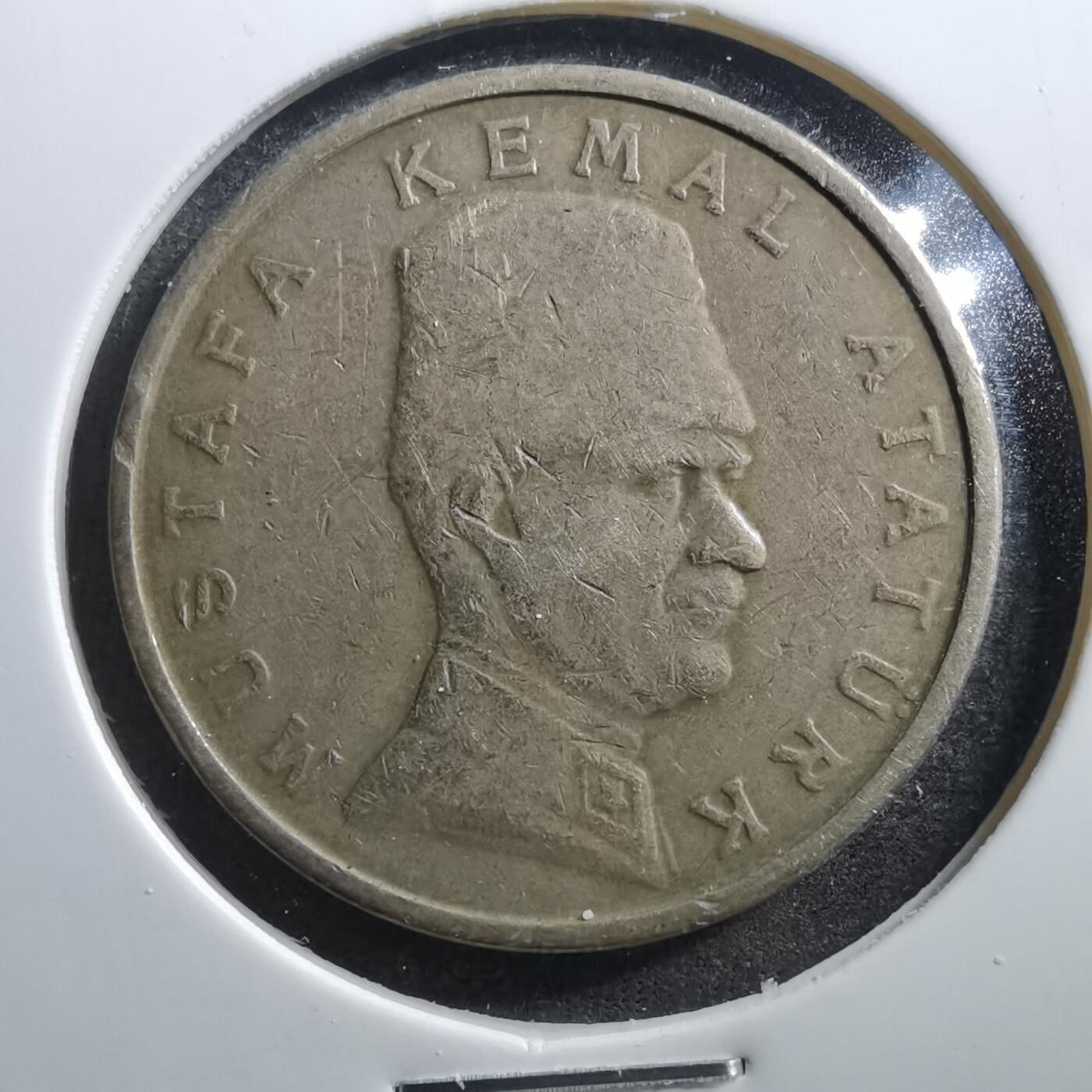 沼泽如烟--第703场